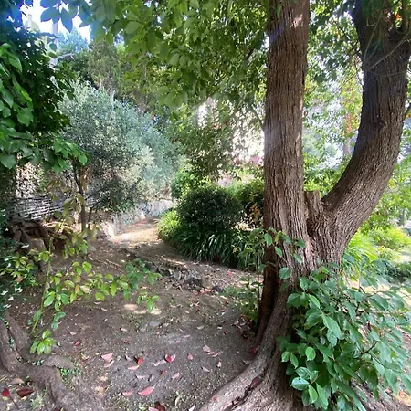 Vila Casa Orsi - In San Michele