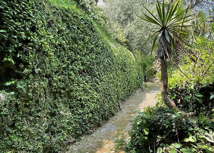 Casa Orsi - In San Michele * Rapallo